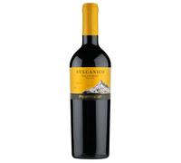 Paternoster Vulcanico Basilicata Falanghina IGT 2023 0,75 ℓ