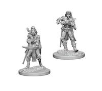 Pathfinder Deep Cuts Miniature non dipinte (W4) Elfo Femmina Bardo
