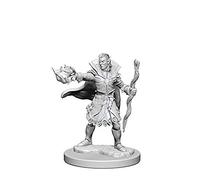 Pathfinder: Deep Cuts Miniatures - Elf Male Sorcerer