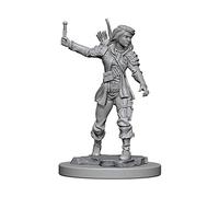 Pathfinder: Deep Cuts Miniatures - Human Female Rogue