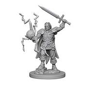 Pathfinder: Deep Cuts Miniatures - Human Male Cleric