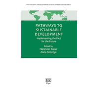 Pathways to Sustainable Development: Implementing the Pact for the Future