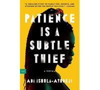 Patience Is a Subtle Thief: A Novel