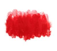 PATIKIL 1,5-3 Pollici Piuma di Gallo Hackle Sella, 300pz Piume Naturali Sfuse Piume Artigianali Soffici per Creare Sogni Orecchini Pendenti, Rosso