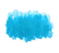 PATIKIL 1,5-3 Pollici Piuma di Gallo Hackle Sella, 300pz Piume Naturali Sfuse Piume Artigianali Soffici per Creare Sogni Orecchini Pendenti, Blu Lago