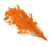 PATIKIL 10-12" Turchia Piume, 1 Set Soffice Sfuso Naturale Piume per Artigianato Carnevale Lavoro Manuale Abbigliamento Costumi Matrimonio Festa, Arancione