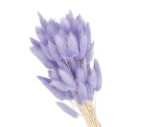 PATIKIL 15.7in Coda di Coniglio Fiori Secchi, 120pz Erba di Pampas Decorativa Coda di Coniglio Erba di Pampas Naturale in Bulk Fluffy Faux Erba di Pampas Essiccata , Viola