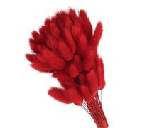 PATIKIL 15.7in Coda di Coniglio Fiori Secchi, 120pz Erba di Pampas Decorativa Coda di Coniglio Erba di Pampas Naturale alla Rinfusa Fluffy Faux Erba di Pampas Essiccata , Rosso