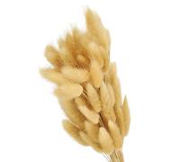 PATIKIL 15.7in Coda di Coniglio Fiori Secchi, 80pz Decorazione Erba Pampas Coda di Coniglio Erba Pampas Naturale Bulk Fluffy Faux Erba Pampas Essiccata per Boho Tavolo Matrimonio, Beige