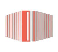 PATIKIL 22 Pezzi Strumenti Per Dislessia, 2 Misure Righelli Guida Per Lettura Con Strisce Trasparenti Segnalibri Colorati Sovrapposti Per Insegnanti, Rosso