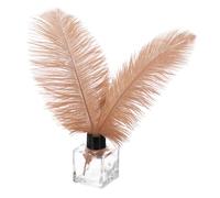 PATIKIL 30 Pz Piume Struzzo Naturali Ingrosso 8-10 Pollici/ 20-25 cm Grandi Piume Struzzo per Artigianato Decorazione Casa Matrimonio Festa Decorazione Vaso (Marrone)