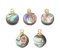 PATIKIL Charme in Conchiglia Abalone, 5 Pz Pendente a Cerchio in Conchiglia Paua 8mm Decorazioni in Conchiglia Mare per Creare Collane Gioielli Fai da Te Sull'Oceano, Colori Misti