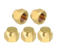 PATIKIL Femmina 5/16" Ottone Guarnizione Tappo, 5pz SAE Svasato Tubo Raccordo 45 Gradi Esagonale Tubo Raccordi per Aria Condizionatore Refrigerazione