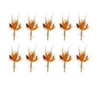 PATIKIL Mazzo di Fiori Secchi Mini, 10pz di Erba della Pampa Fiori Selvatici Naturali con Stelo Decor Boho Pianta Floreale per Artigianato Fai da Te Regalo Matrimonio, Arancione