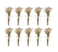 PATIKIL Mazzo di Fiori Secchi Mini, 10pz Rosa Fiore Selvatico Naturale con Stelo Fiore di Gisantemo per Boho Fiori per Artigianato Fai da Te Regalo Matrimonio, Crema