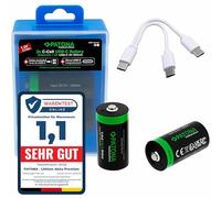 PATONA 2x Premium Batteria 3450mWh 1.5V USB-C LR14 Baby C ricaricabile con 1-a-2 cavo-USB-C per radio, torce elettriche, illuminazione