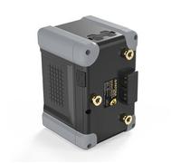 Patona Batteria PROTECT Gold Mount G300-PD100