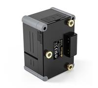 Patona Batteria PROTECT Gold Mount G99-PD100