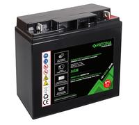 PATONA Premium Batteria al piombo AGM 12 V 22 Ah VRLA senza manutenzione, 1800 cicli