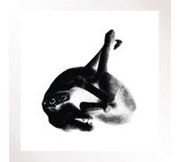 Patricia Several Shades of the Same Colour (Vinyl LP) 12" Album