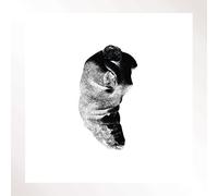 Patricia - Several Shades Of The Same Lp 2