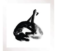 Patricia - Several Shades Of The Same Lp 3