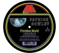 patrick cowley-primitive world hifi sean