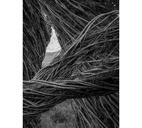 Patrick Dougherty | James Florio