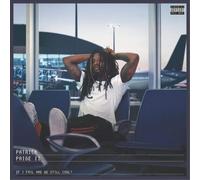 Patrick Paige II If I Fail Are We Still Cool? (Vinyl LP) 12" Album