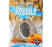 Patrick Perish Fossils (Copertina rigida) Rocks & Minerals