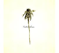 Patrick Watson Wooden Arms (Vinyl LP) 12" Album