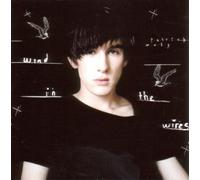 Patrick Wolf - Wind In The Wires
