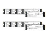 Patriot P300 256GB SSD Interno - NVMe PCIe Gen 3x4 - M.2 2280 - Solid State Drive - Confezione da 10