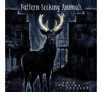 Pattern-Seeking Animals Only Passing Through (Vinyl LP) 12" Album with CD