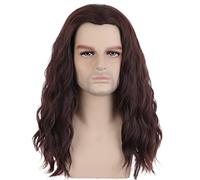 PATTNIUM Parrucca da uomo marrone lunga ondulata marrone parrucca da uomo lunghezza spalla parrucca unisex resistente al calore capelli sintetici parrucca cosplay festa in costume