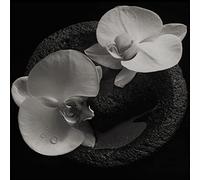 Patton Mike, Jean-Claude Vannier - Corpse Flower