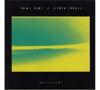 PAUL BLEY - Synth Thesis