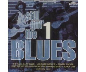 Paul deLay Band, Byther Smith, Clarence Edwards, King Biscuit Boy, Sonny Blake..