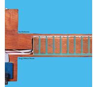 Paul Demarinis - Songs Without Throats Paul Demarinis Dlp