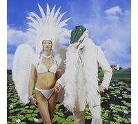 Paul Gilbert - Alligator Farm