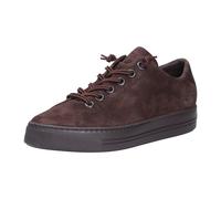 Paul Green - Scarpe stringate - - Shoes - Donna - Marrone - 37 1/2 EU