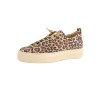 Paul Green Sneaker bassa 'Pauls' beige / marrone chiaro / marrone scuro Donna Paul Green 37,5