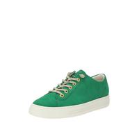 Paul Green Sneaker bassa verde Donna Paul Green 38,5 verde