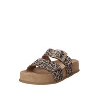 Paul Green Zoccoletto beige / terra d'ombra / marrone scuro Donna Paul Green 41