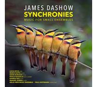 Paul Hoffman Synchronies (CD)