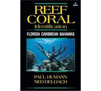 Paul Humann Ned DeLoach Reef Coral Identification (Tascabile)