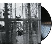 Paul McCartney Chaos and Creation in the Backyard 12" Album