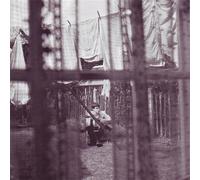 Paul McCartney Chaos and Creation in the Backyard (CD) Album