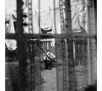 Paul McCartney Chaos and Creation in the Backyard (CD) Album