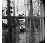 Paul McCartney Chaos and Creation in the Backyard (Vinyl LP) 12" Album